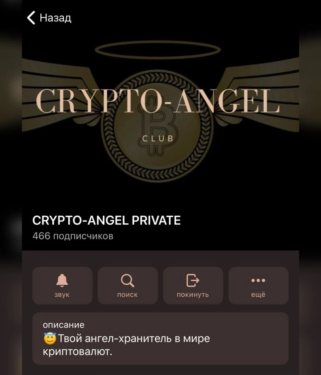 Закрытый Telegram-клуб Crypto Angel Private