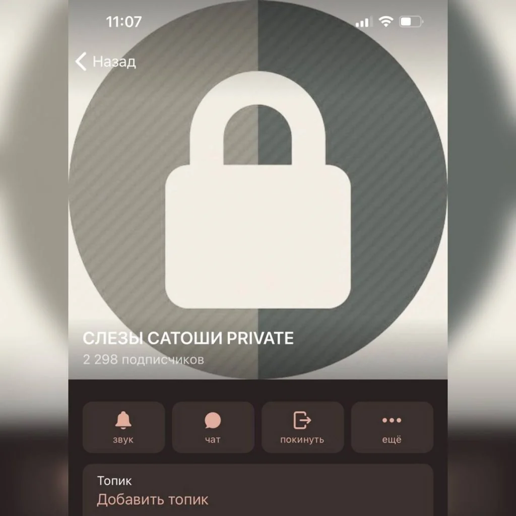 Закрытый Telegram-клуб Слезы Сатоши Private